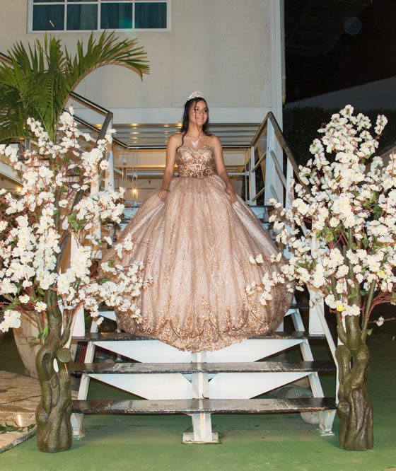 15 años Golden Rose
